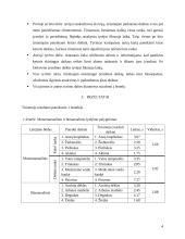 Monomanualinio ir bimanualinio lytėjimo palyginimas II 3 puslapis