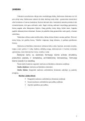 Mažoji architektūra 2 puslapis