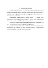 Mažoji architektūra 11 puslapis