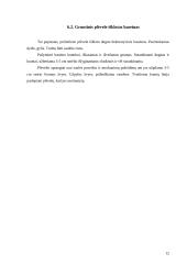 Mažoji architektūra 12 puslapis