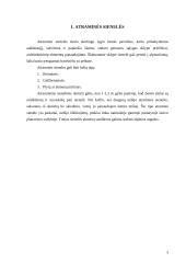 Mažoji architektūra 3 puslapis