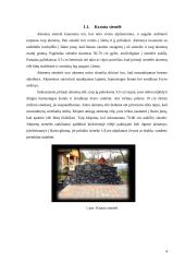 Mažoji architektūra 4 puslapis