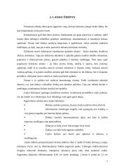 Mažoji architektūra 5 puslapis