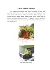 Mažoji architektūra 7 puslapis