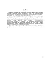 Medicininiai įtvarai žmonėms su negalia 3 puslapis