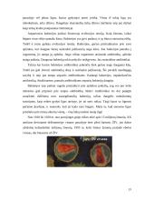 Medicinos revoliucija 14 puslapis