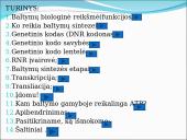 Baltymų sintezė. Skaidrės 2 puslapis