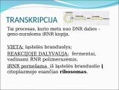 Baltymų sintezė. Skaidrės 15 puslapis