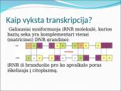 Baltymų sintezė. Skaidrės 17 puslapis