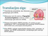 Baltymų sintezė. Skaidrės 20 puslapis