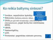 Baltymų sintezė. Skaidrės 4 puslapis