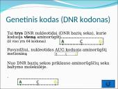 Baltymų sintezė. Skaidrės 5 puslapis