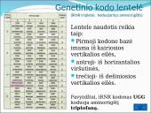 Baltymų sintezė. Skaidrės 7 puslapis