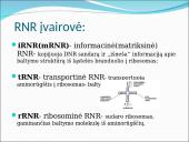 Baltymų sintezė. Skaidrės 8 puslapis