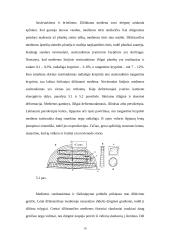 Mediena, medžių ligos 16 puslapis