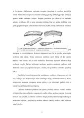 Mediena, medžių ligos 17 puslapis