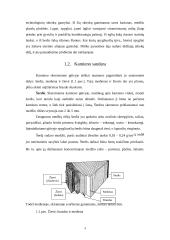 Mediena, medžių ligos 4 puslapis