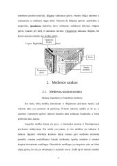 Mediena, medžių ligos 6 puslapis