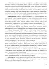 Mediena. Medienos gaminiai 12 puslapis