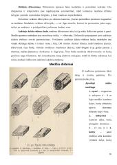 Mediena. Medienos gaminiai 16 puslapis