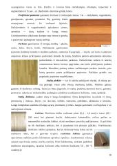 Mediena. Medienos gaminiai 18 puslapis
