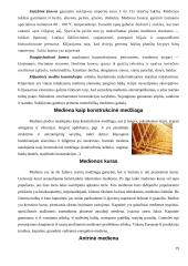 Mediena. Medienos gaminiai 19 puslapis