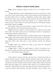 Mediena. Medienos gaminiai 4 puslapis