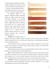 Mediena. Medienos gaminiai 9 puslapis