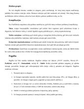 Kas yra Anafilaksinis šokas? 2 puslapis