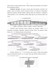Medinės, plieninės ir kitos retos užtvankos 9 puslapis