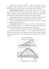 Medinės, plieninės ir kitos retos užtvankos 10 puslapis