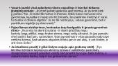 Atmosfera kunigų seminarijoje ir stojimo į seminariją motyvai 13 puslapis