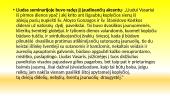 Atmosfera kunigų seminarijoje ir stojimo į seminariją motyvai 3 puslapis