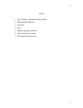 Medinių paviršių apdaila 2 puslapis