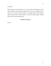 Medinių paviršių apdaila 11 puslapis