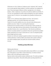 Medinių paviršių apdaila 4 puslapis