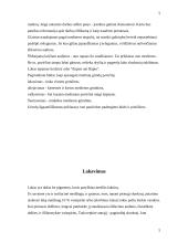 Medinių paviršių apdaila 5 puslapis