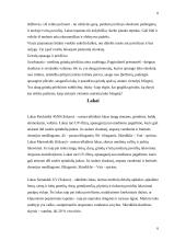 Medinių paviršių apdaila 6 puslapis