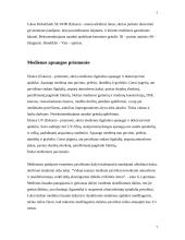 Medinių paviršių apdaila 7 puslapis