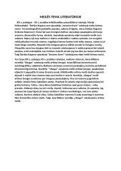 Meilės tema literatūroje (pastraipa)