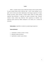 Medus ir jo įtaka žmogaus sveikatai 2 puslapis