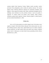 Medus ir jo įtaka žmogaus sveikatai 11 puslapis