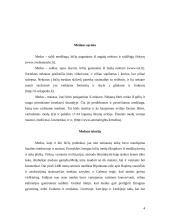 Medus ir jo įtaka žmogaus sveikatai 3 puslapis