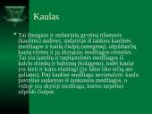 Seniausiai naudojamos medžiagos 13 puslapis