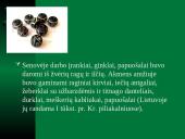 Seniausiai naudojamos medžiagos 14 puslapis