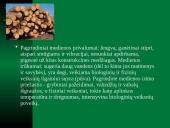 Seniausiai naudojamos medžiagos 16 puslapis