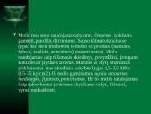 Seniausiai naudojamos medžiagos 6 puslapis