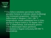 Seniausiai naudojamos medžiagos 8 puslapis