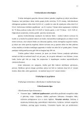 Ekologinė triušininkystė 10 puslapis