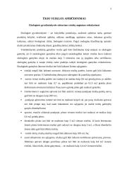 Ekologinė triušininkystė 4 puslapis